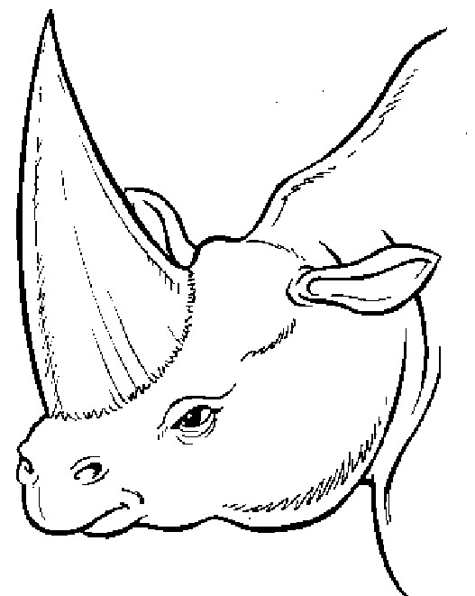 Dinosaur Coloring Pages 10